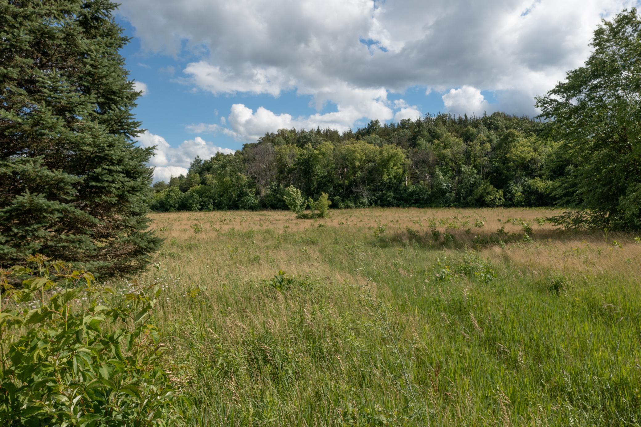 County Rd SS-15.jpg