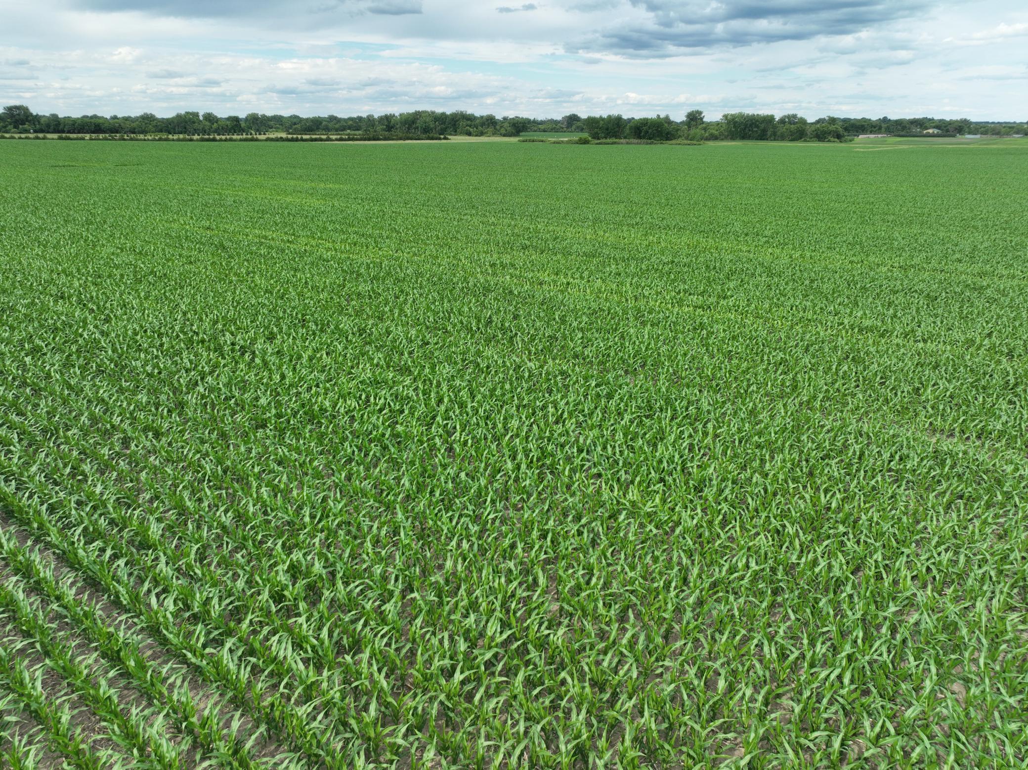 DJI_0908.JPG
