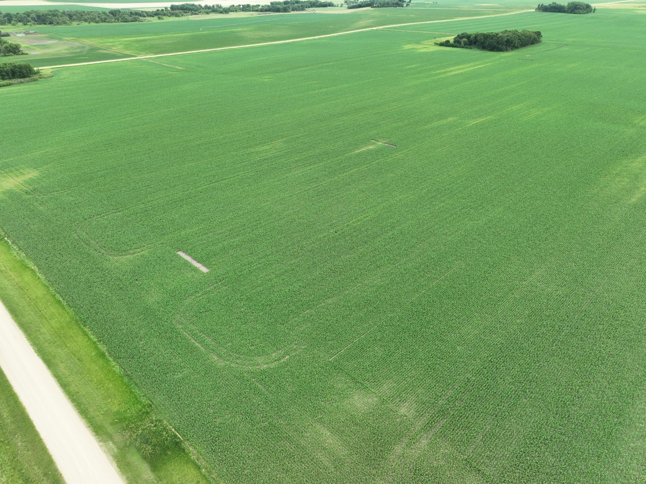 DJI_0891.JPG