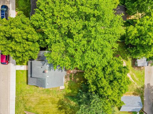 From above, you can see the true size and potential of this lot. A wonderful canvas for gardens, outdoor living, or simply enjoying the shade of established trees.