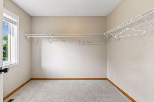 3990 Forest Court, Saint Bonifacius, MN 55375