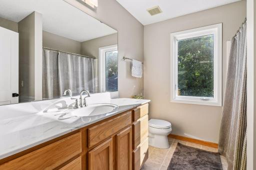 3990 Forest Court, Saint Bonifacius, MN 55375