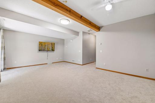 3990 Forest Court, Saint Bonifacius, MN 55375