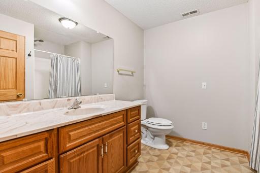 3990 Forest Court, Saint Bonifacius, MN 55375