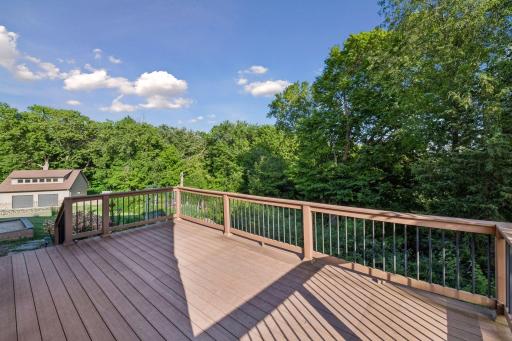 3990 Forest Court, Saint Bonifacius, MN 55375