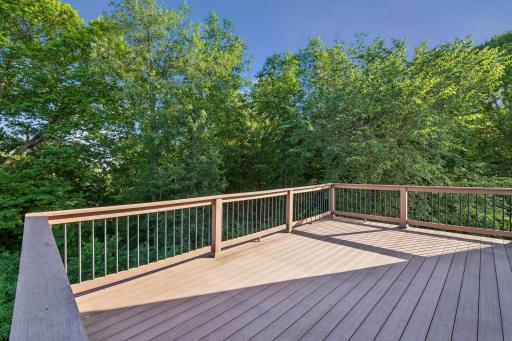3990 Forest Court, Saint Bonifacius, MN 55375