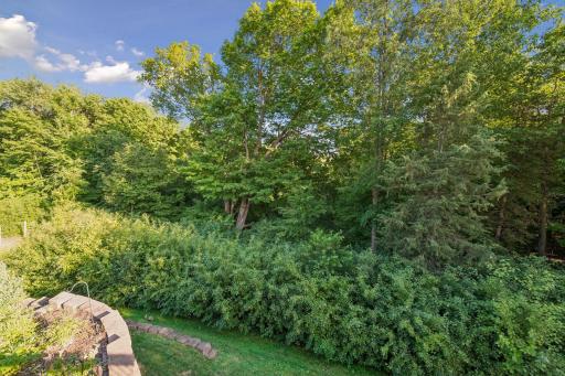 3990 Forest Court, Saint Bonifacius, MN 55375