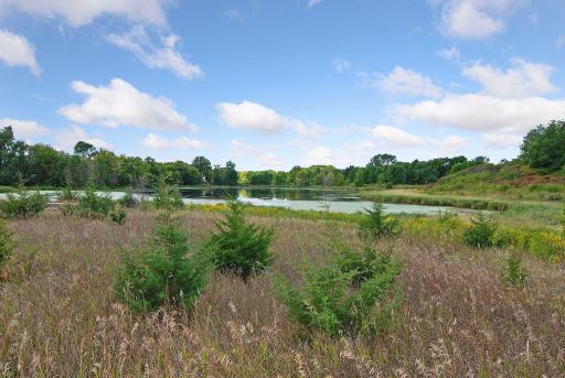 3990 Forest Court, Saint Bonifacius, MN 55375