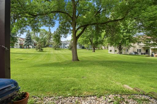Open shared green space featuring mature shade trees and beautifully maintained lawn, offering a peaceful outdoor setting.
