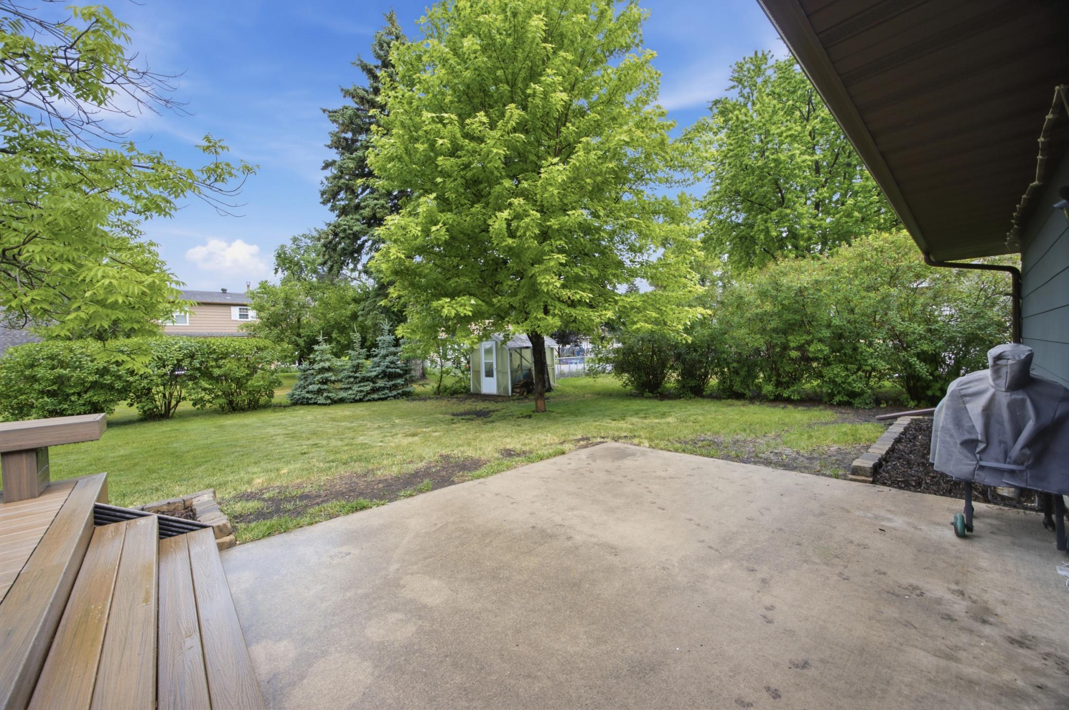 Patio/Backyard