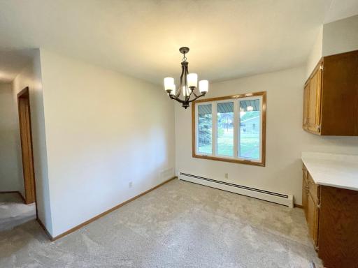 403 S Paffrath Avenue, Springfield, MN 56087