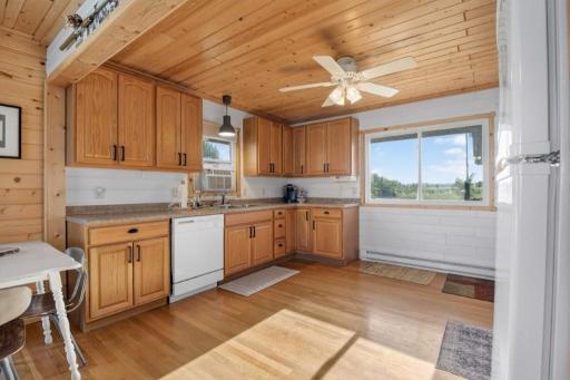 39466 385th Avenue, Dent, MN 56528