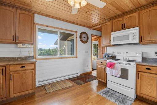 39466 385th Avenue, Dent, MN 56528