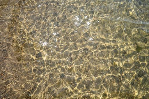 DSC03250.jpg
