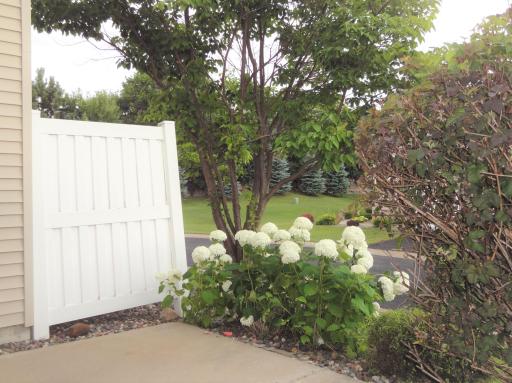 Maple Grove, MN 55311