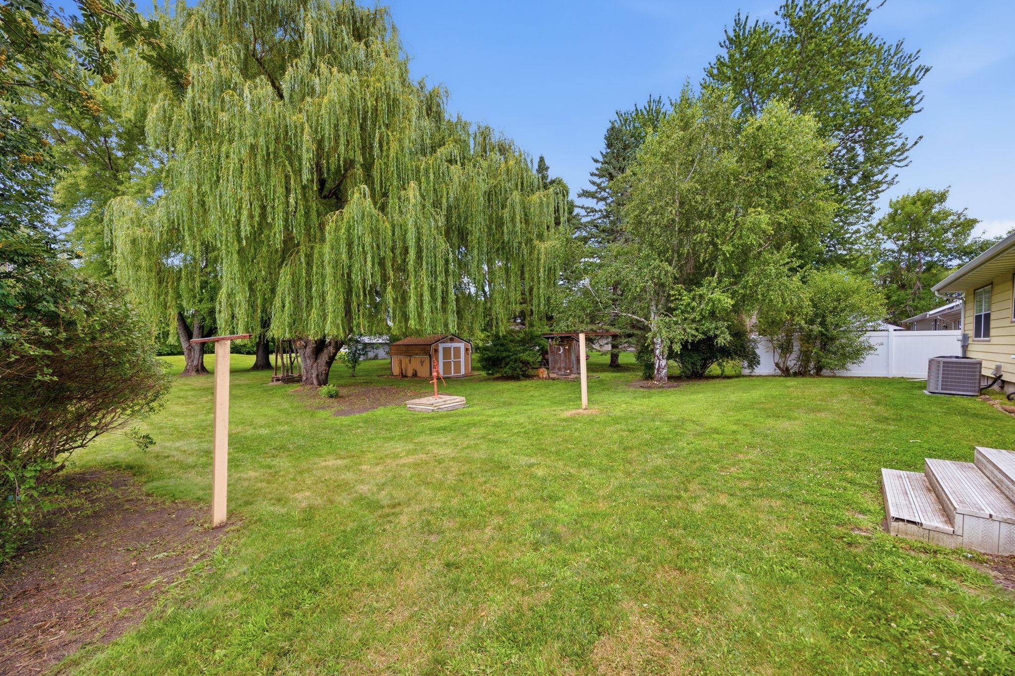 Expansive backyard shaded by beautiful mature trees, offering plenty of space to relax, play, or entertain outdoors.