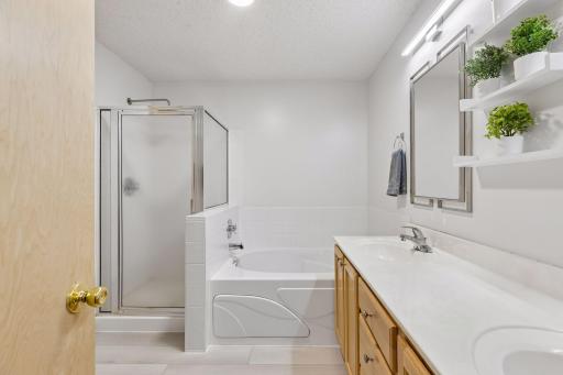 306 Brickyard Drive, Chaska, MN 55318