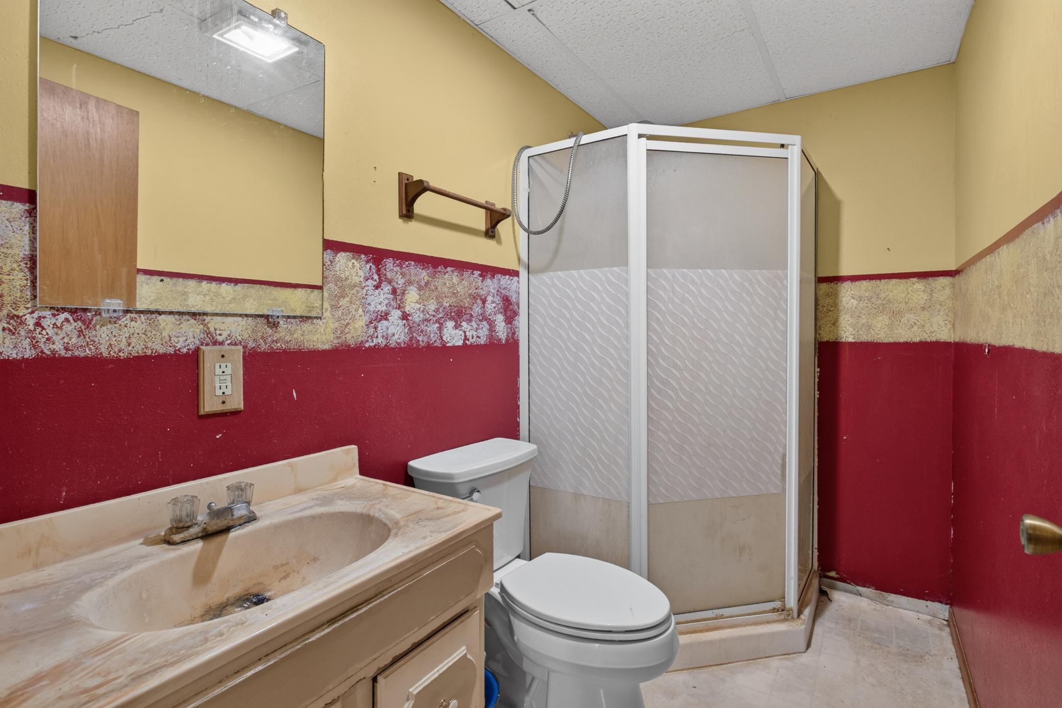 Lower Level Bathroom