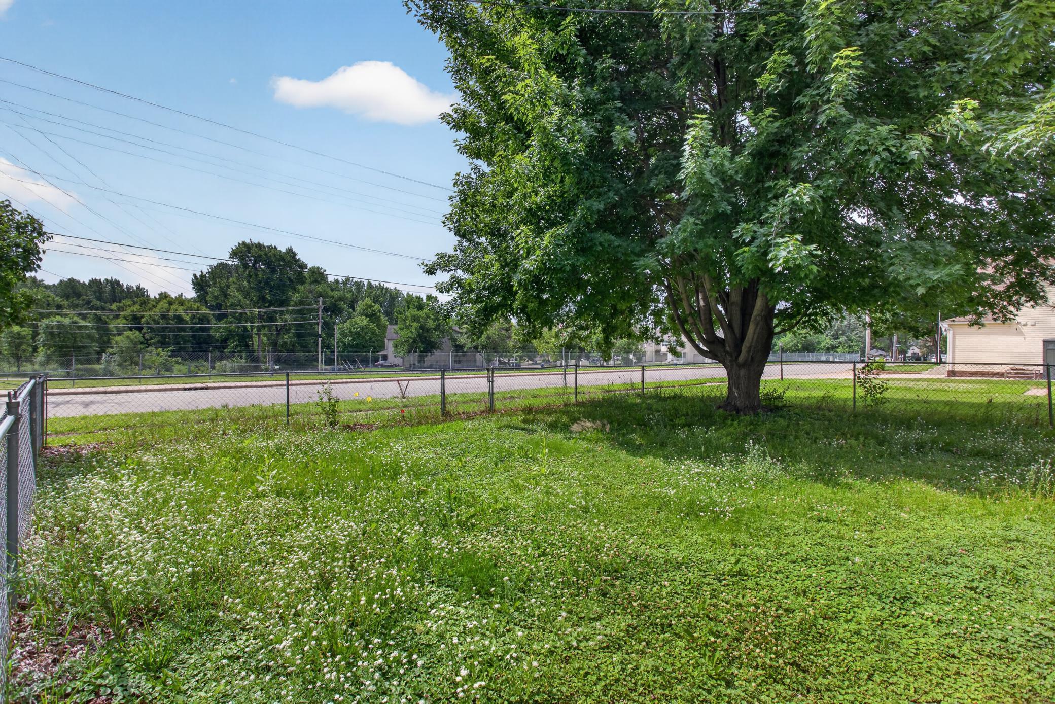 Yard