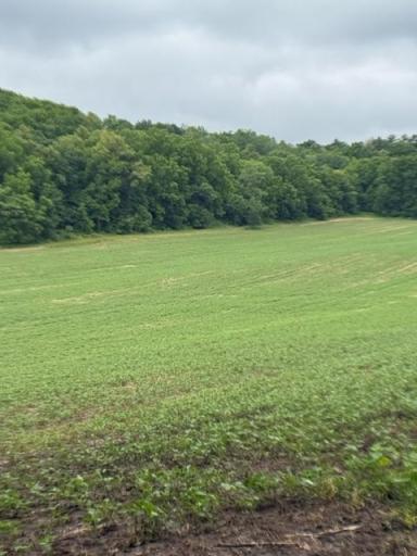 TBD Back Valley Road, Pepin, WI 54759