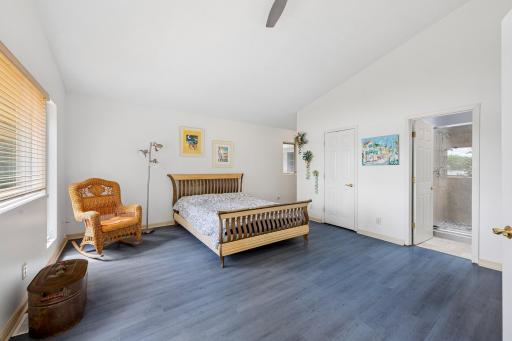 Primary suite, private bath, walk-in closet