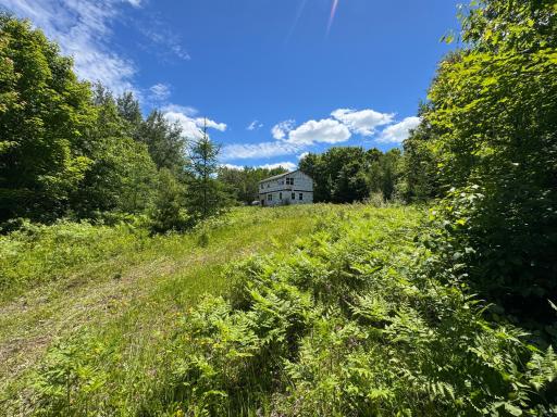 The property includes a rustic bunk house constructed approximately in 2023. The roof is steel.