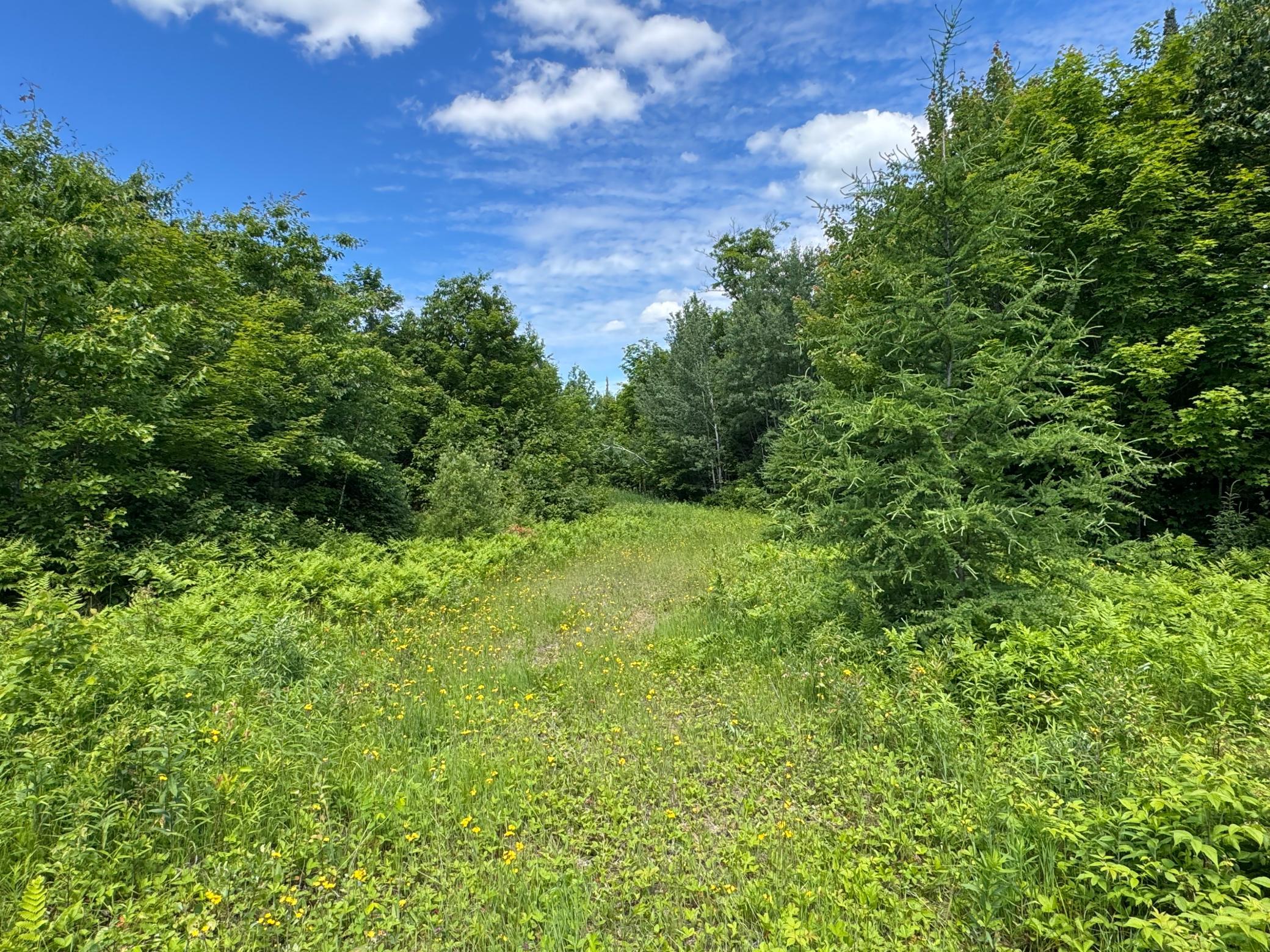 This property borders Minnesota State property. There are paths and deer stands on the property.
