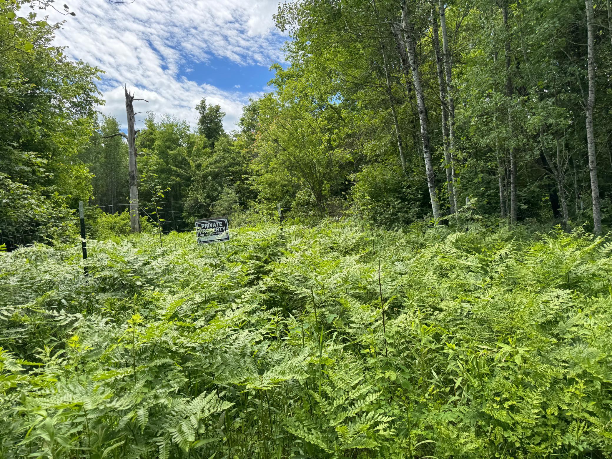 Enjoy living or hunting on this "off-the-grid" property.
