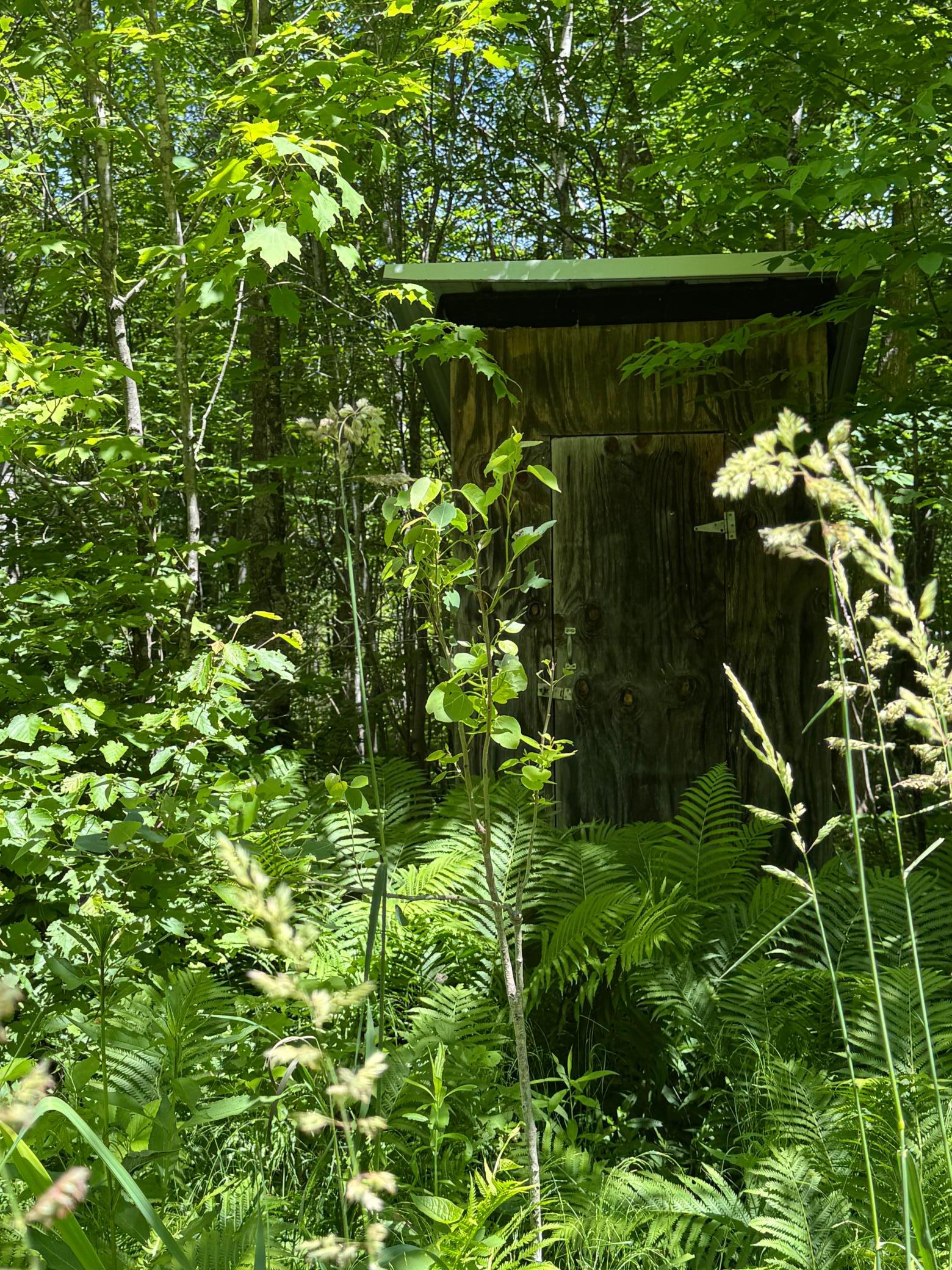 Old outhouse on the property.