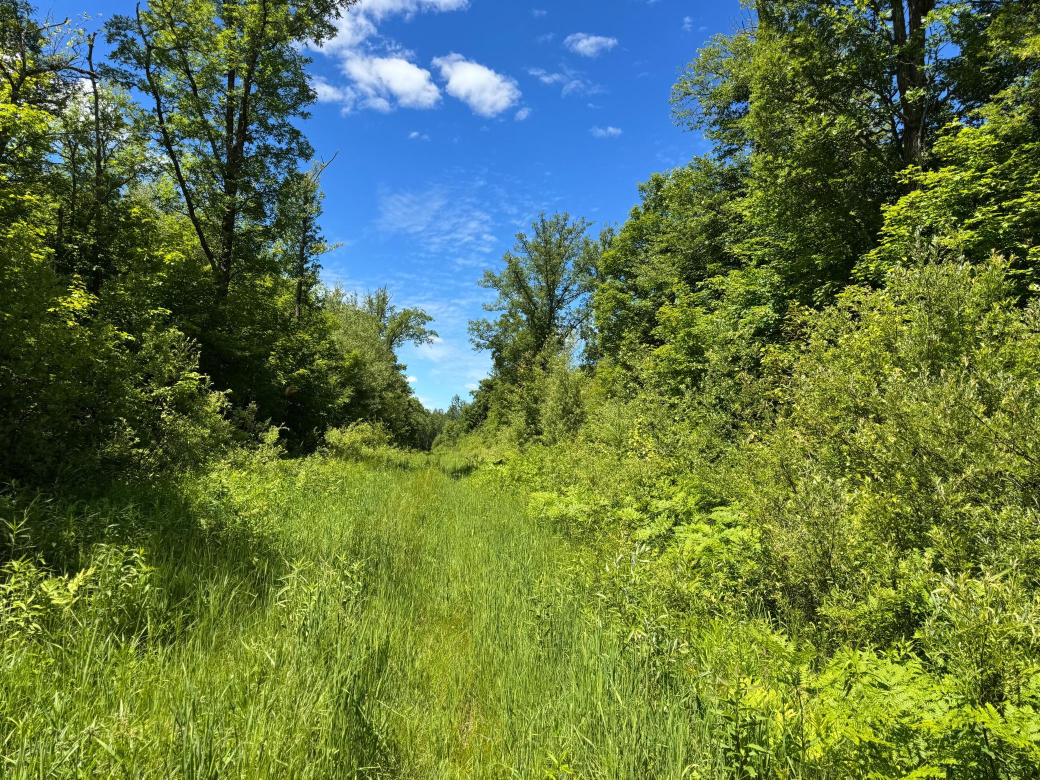 230 (+/-) acre hunting paradise with access being the Minnesota Snowmobile Trail.