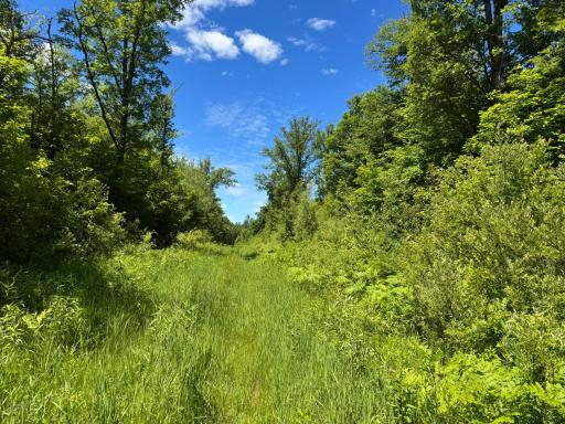 230 (+/-) acre hunting paradise with access being the Minnesota Snowmobile Trail.