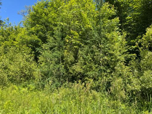 TBD 300th Lane, Mcgregor, MN 55760