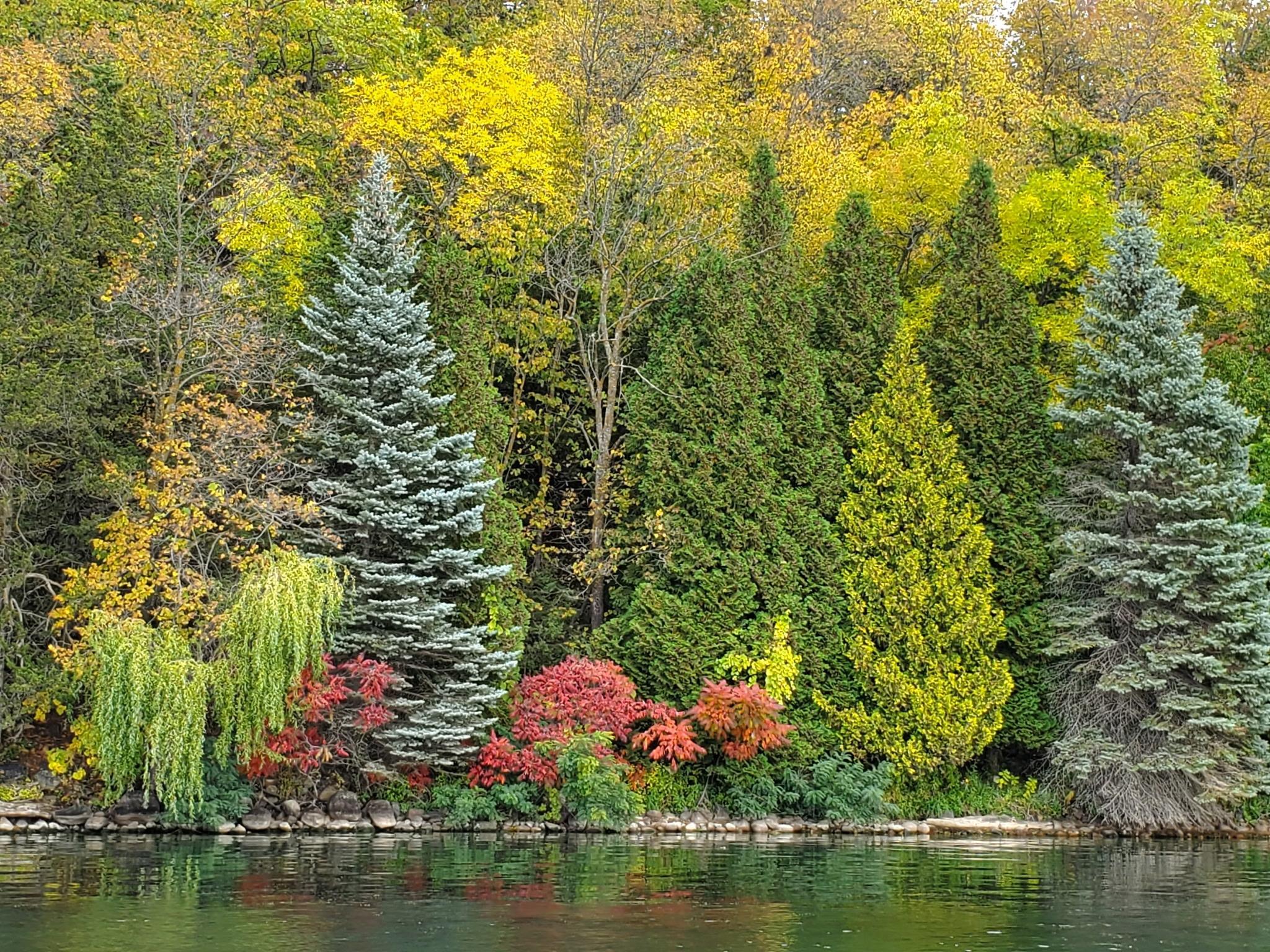 More Autumn colors