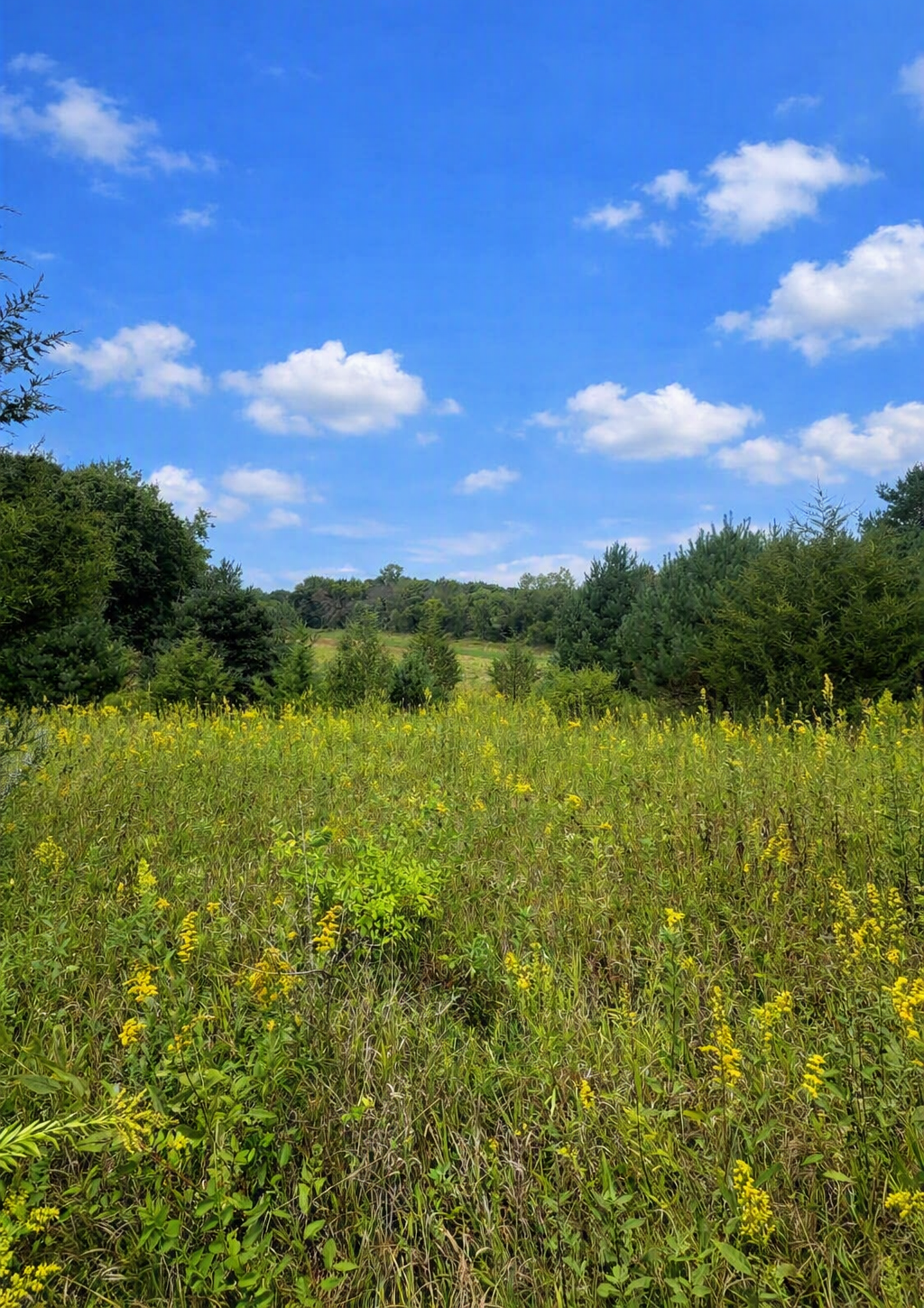 Property photo for xxxx Jeffrey Boulevard, Stillwater, MN 55082
