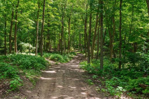 Access 50 acres of hunting land with trails throughout, established food plots and thoughtfully placed deer stands