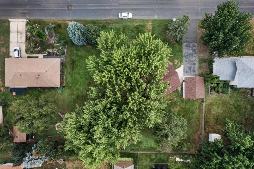 3_001_dji_0989.jpg