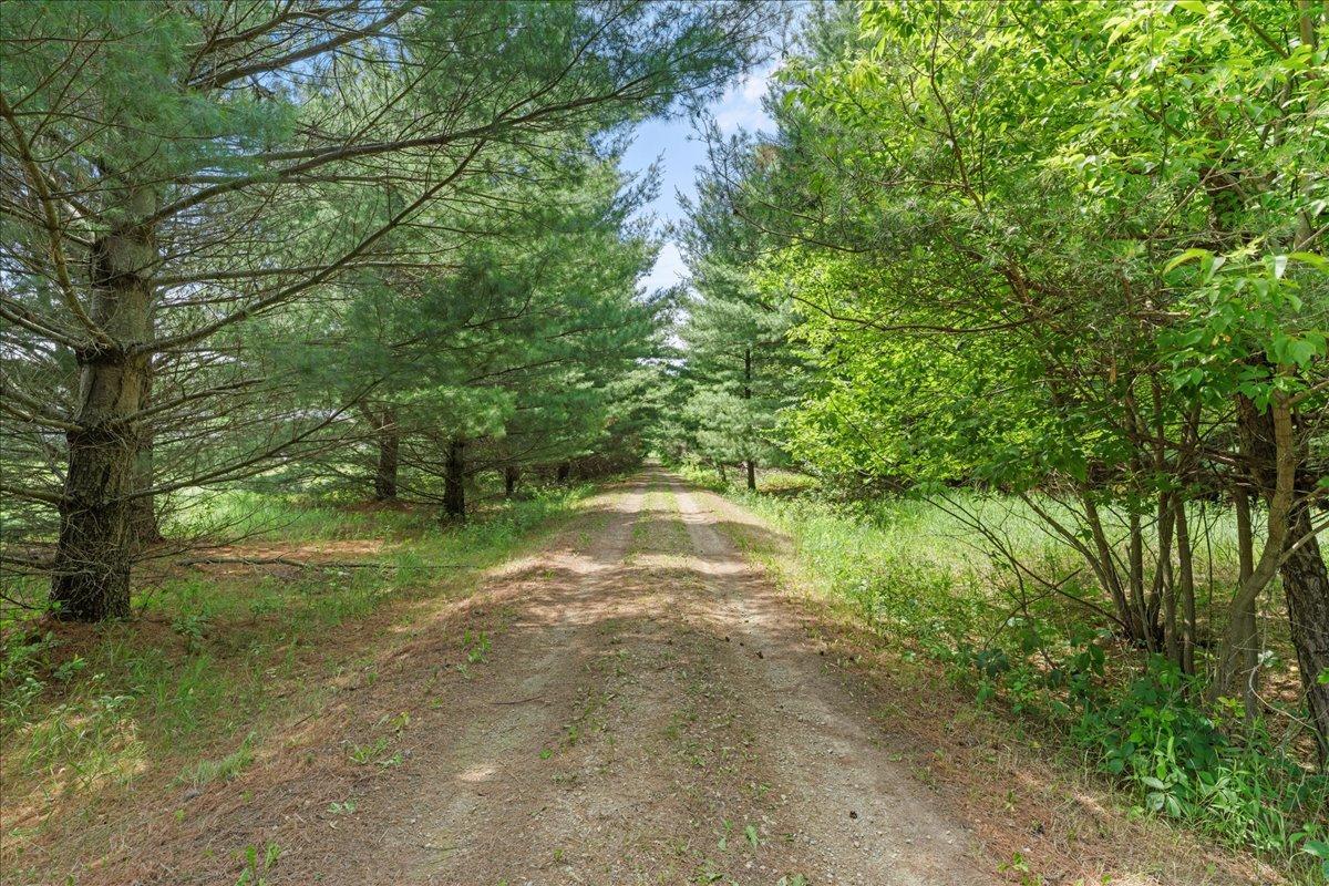 11-SNY09783.jpg