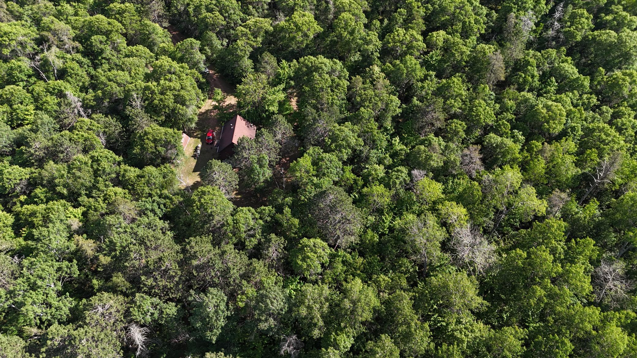 DJI_20260616170555_0623_D.JPG
