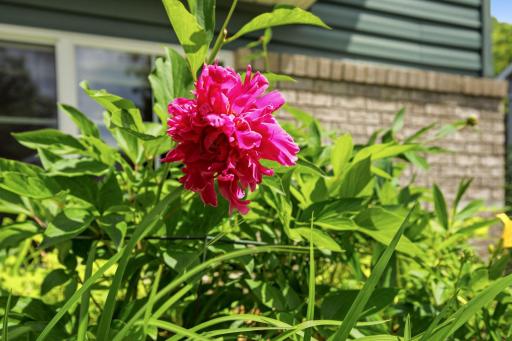 Beautiful flower garden beds surround the home