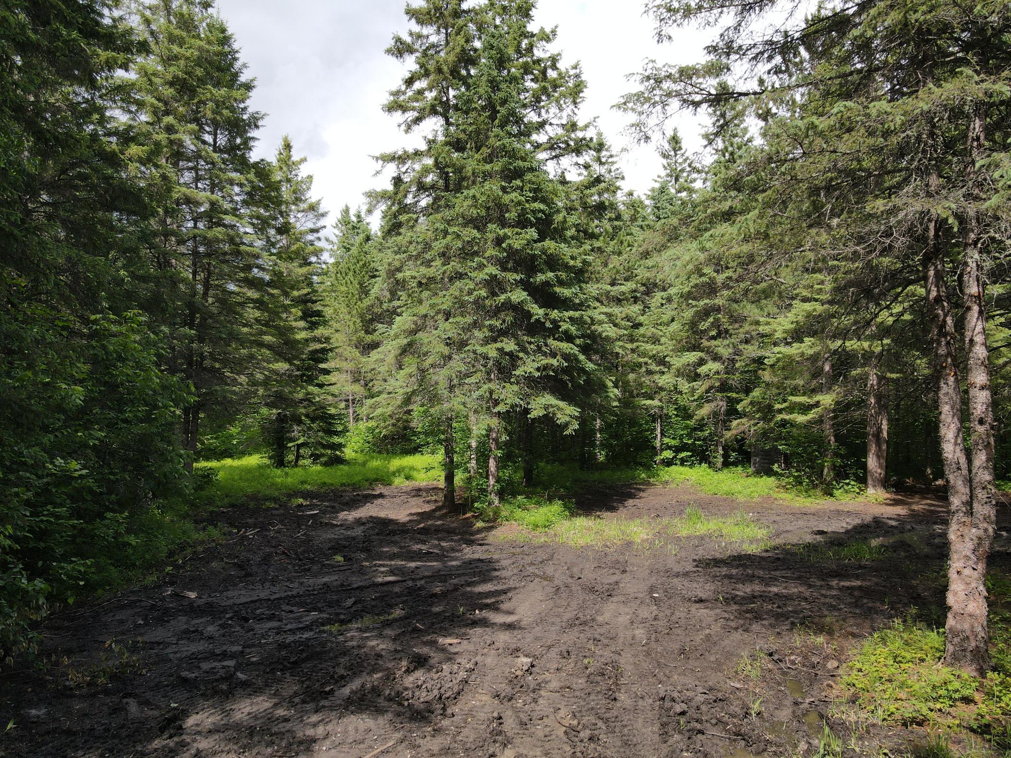 Cleared building spot
