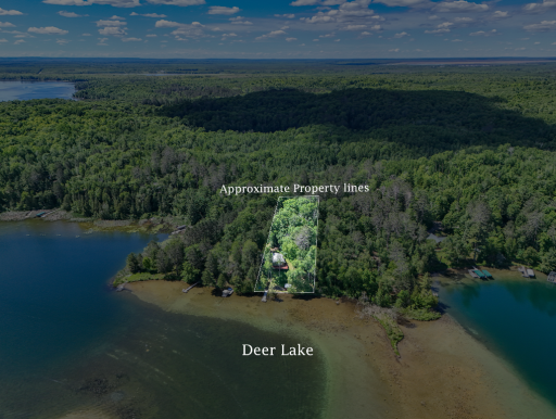 39718 W Deer Lake Road, Deer River, MN 56636