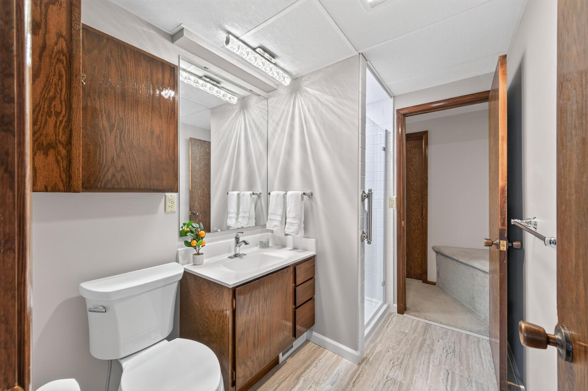 Downstairs updated bathroom!