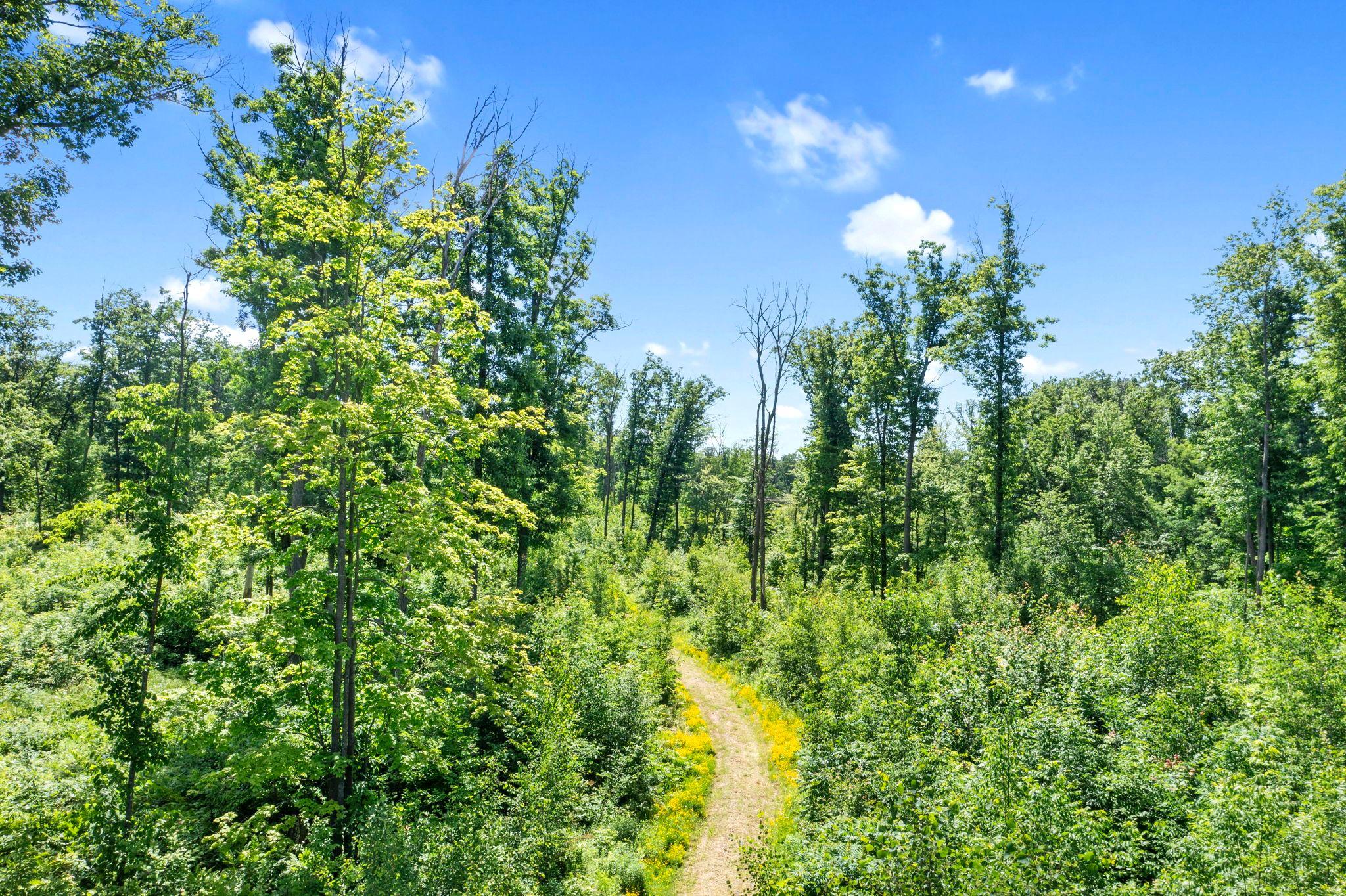 29-web-or-mls-220th Ave-95.jpg