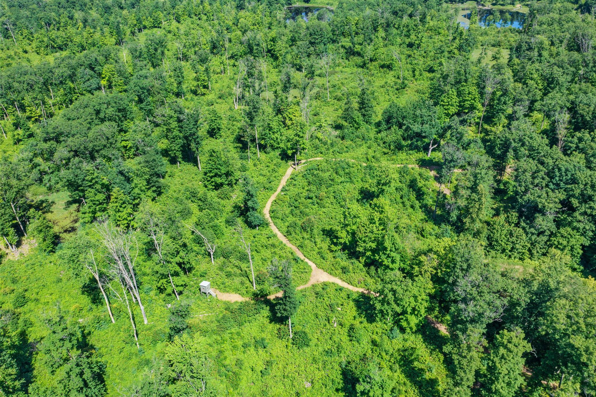 12-web-or-mls-220th Ave-34.jpg