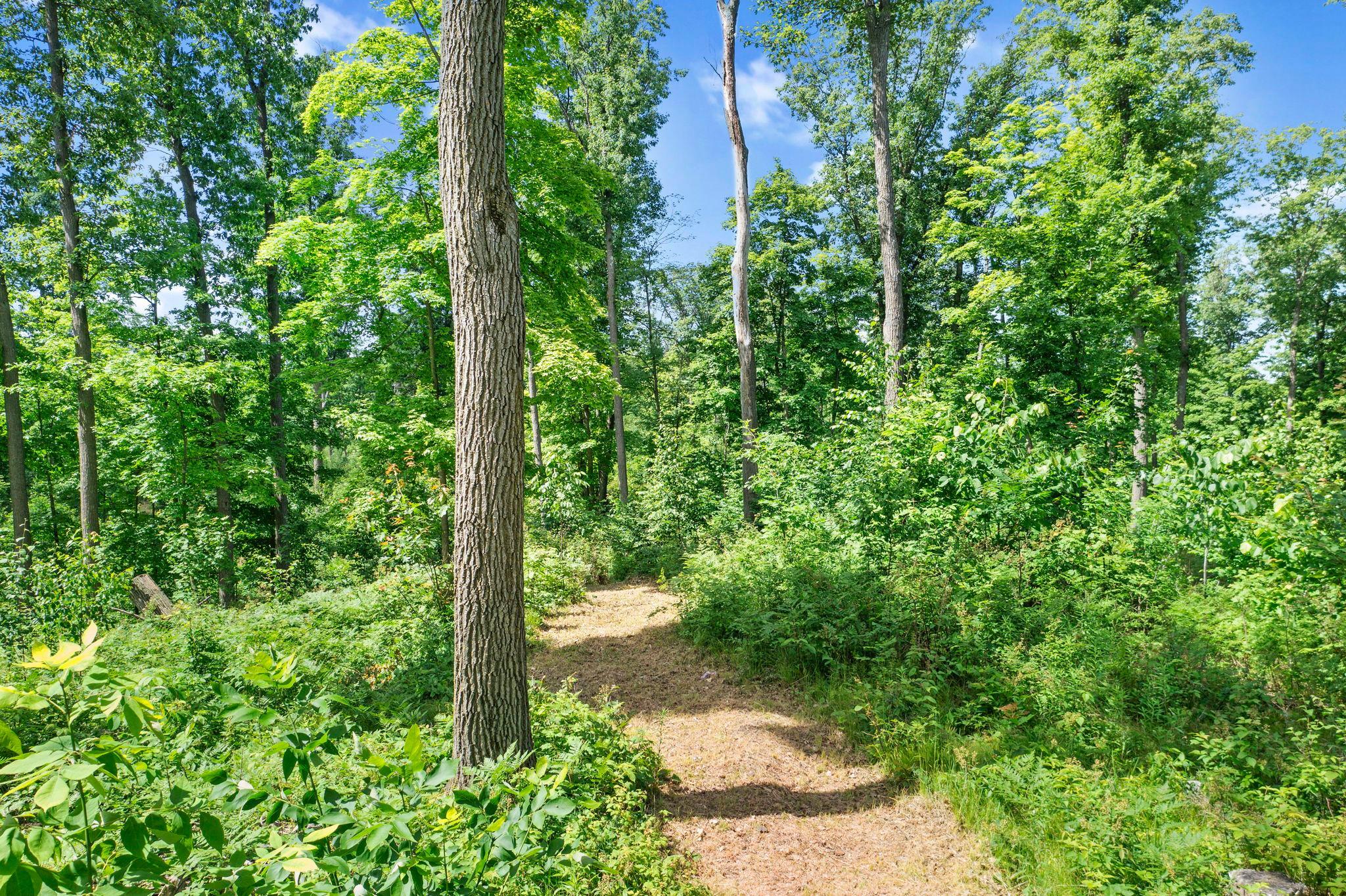 36-web-or-mls-220th Ave-114.jpg