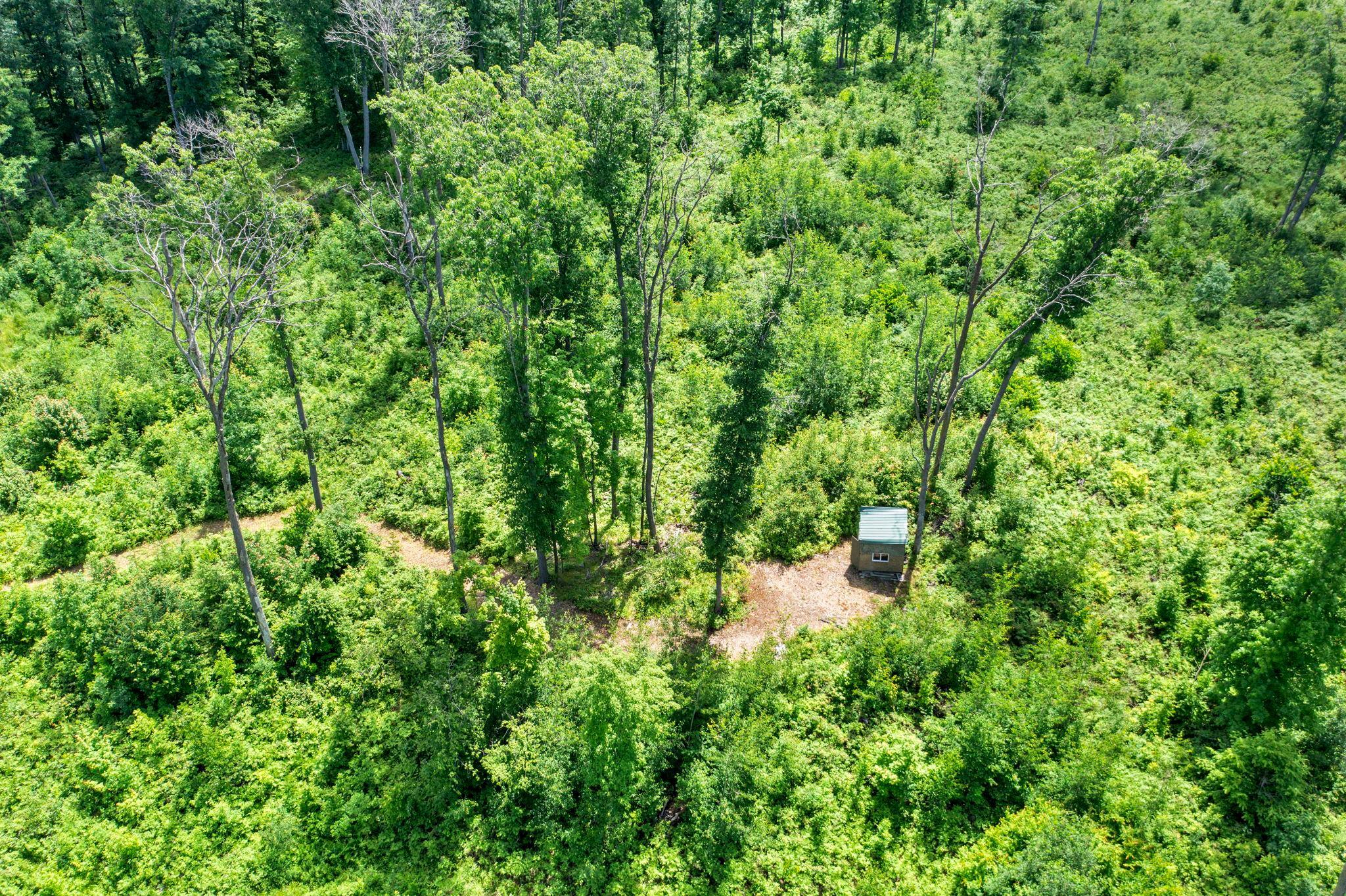 37-web-or-mls-220th Ave-117.jpg
