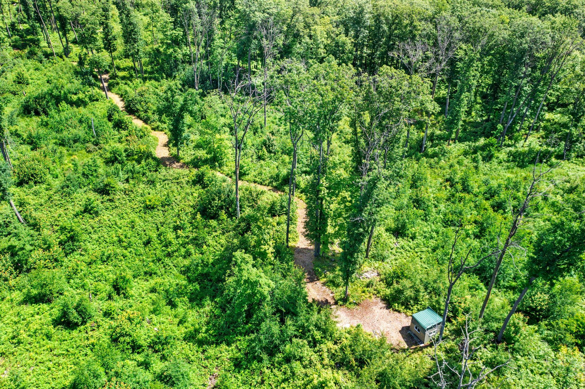 32-web-or-mls-220th Ave-104.jpg