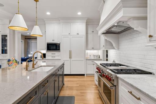 6 Burner Gas Stove & overhead VentHood, walk in pantry