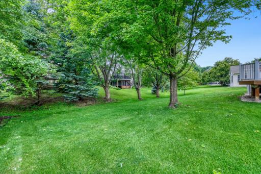 2337 Manuela Drive, Chaska, MN 55318