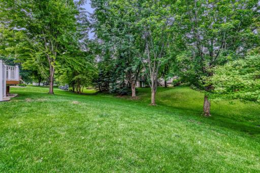 2337 Manuela Drive, Chaska, MN 55318